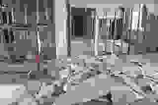 Демонтаж кирпичной стены в Новомосковске - Стоимость от 567 руб. за м2 | Сварной-Нвм 2025 г. Тульской области